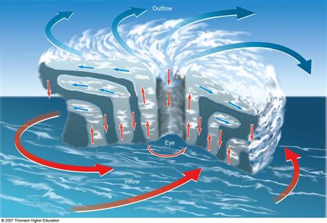 Vertical cross section of the hurricane circulation