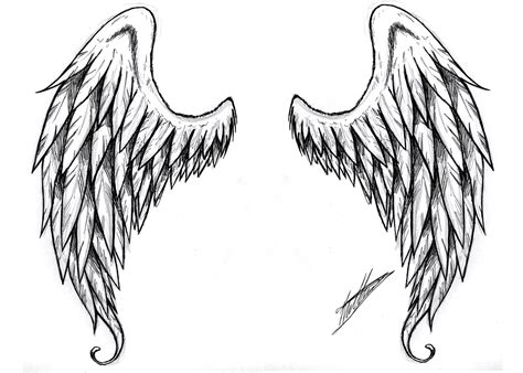 realistic angel wings drawing - Clip Art Library