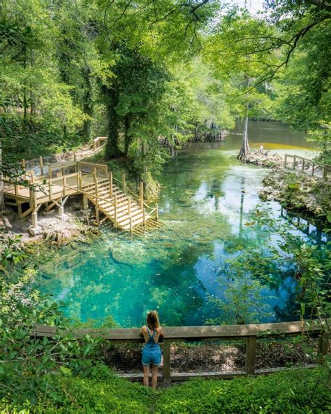 12 Best Natural Springs In North Florida - Florida Trippers