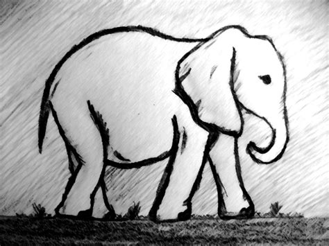 Pin on Elephant artwork