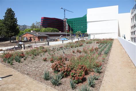 West Hollywood Library Murals Progress | photo credit: Joshu… | Flickr