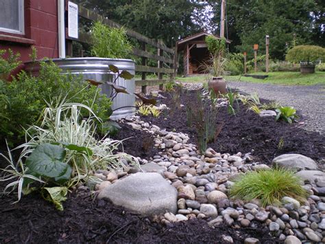 What is a rain garden? | Kitsap Conservation District