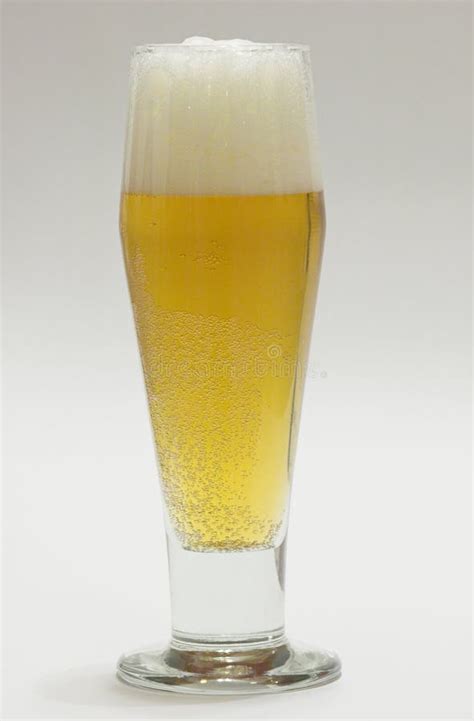 Beer in tall glass stock photo. Image of summer, tall, beverage - 284972