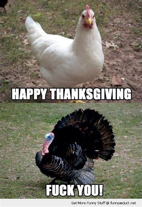 50 Funny Thanksgiving Memes To Make You Laugh Like A Real Turkey ...