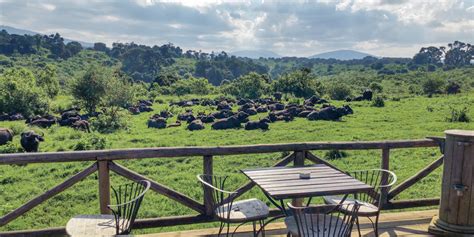 Rhino Lodge | Ngorongoro Crater Tanzania Lodges | Yellow Zebra Safaris