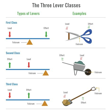 Different types of levers with examples vector illustration 23452904 ...