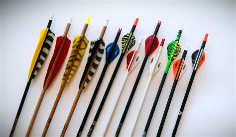 How to Choose the Best Archery Equipment in 5 Easy Steps - Archery 360