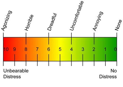 Visual Analog Survey Scale -- A Pain-ful Misnamed Scale (2022)