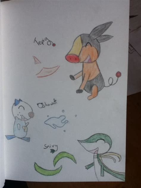 Pokemon Black And White Starters by CharrChan on DeviantArt