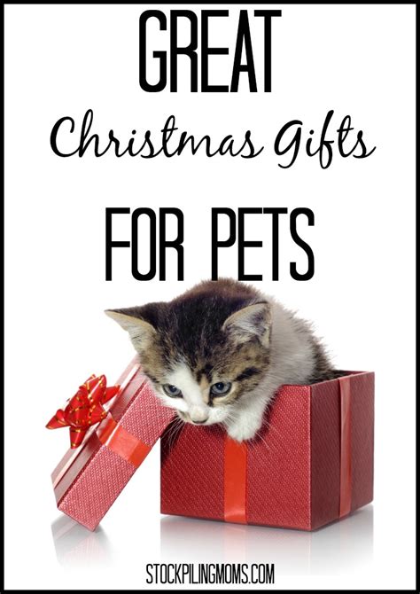 Great Christmas Gifts For Pets - STOCKPILING MOMS™