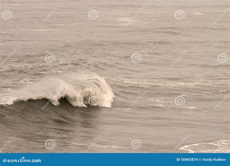 Solitary wave stock photo. Image of beauty, horizontal - 50963874