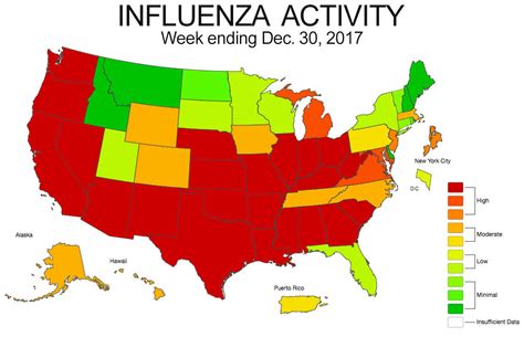 Flu 2024 Map - Hanni Queenie