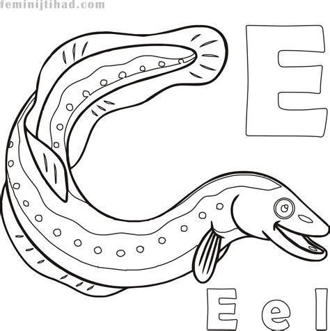 Eel Printable Coloring Pages - SienaecFrank