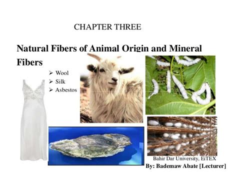 Animal fibers