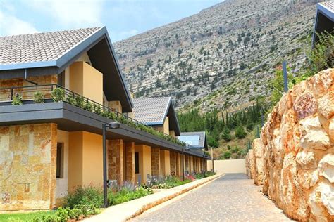 Chalet & Villas - Picture of Mist Hotel and Spa by Warwick, Ehden ...