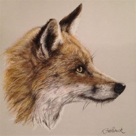 12 best images about Fox Drawing on Pinterest | Fox sketch, Print ...