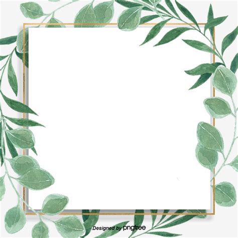 Eucalyptus Leaves Drawing | Free download on ClipArtMag