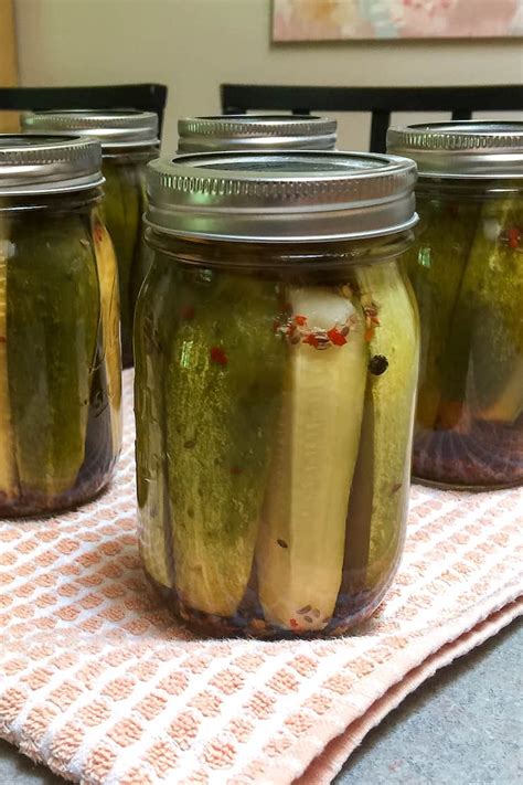 Homemade Garlic Dill Pickles Canning Recipe - The Hungry Bluebird