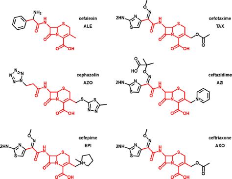 Cephalosporin Structure