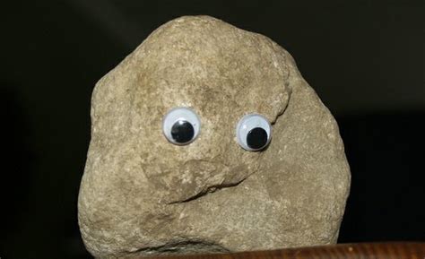 this is rocko my pet rock. some may say he's a little slow but i think ...