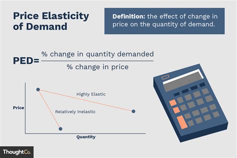 Elasticity Of Demand Equation Calculator - Tessshebaylo