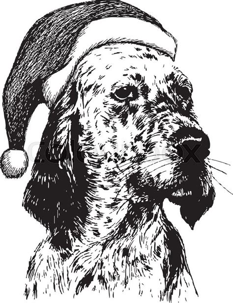 Christmas Dog Drawing at PaintingValley.com | Explore collection of ...