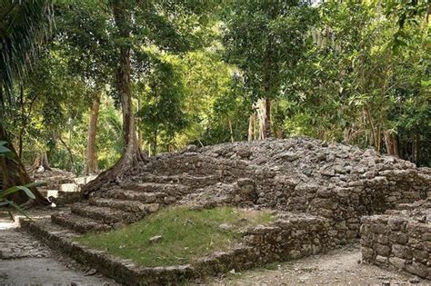 Ancient Chacchoben Mayan Ruins + Mayan Experience from Costa Maya