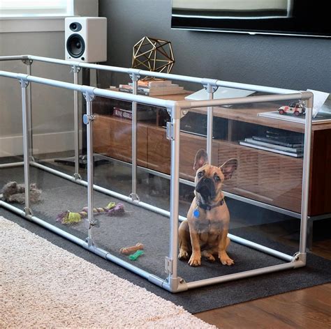 This Frenchie loves his new playpen. A medium Lucidium dog pen set up ...