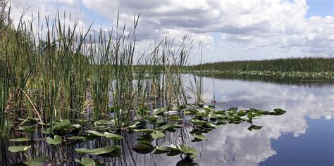 Habitat Conservation | National Park Foundation