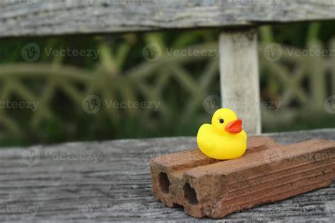 Lovely of yellow rubber duck 848424 Stock Photo at Vecteezy