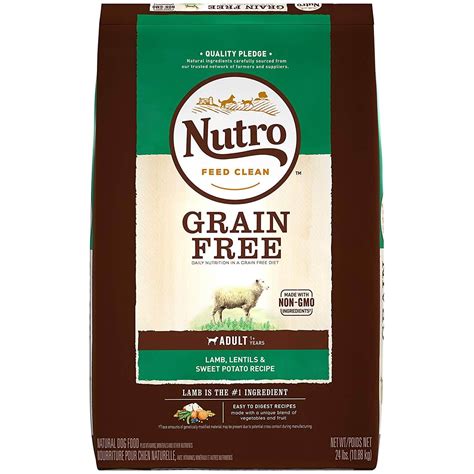 The 9 Best Grain-Free Dog Foods