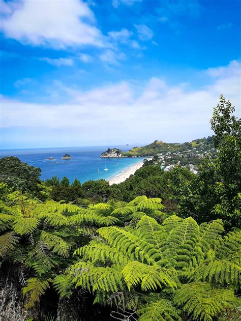 Discover the Magic of Coromandel Peninsula - The Best Places | Sarah