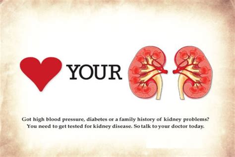 World Kidney Day Quotes – World Kidney Day Slogans in Hindi – Hindi ...