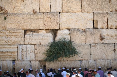 The Wailing Wall in Jerusalem - A FULL Guide | Dan Hotels Blog