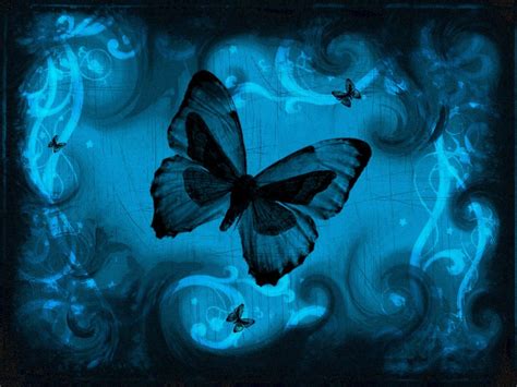 🔥 [47+] Blue Butterfly HD Wallpapers | WallpaperSafari