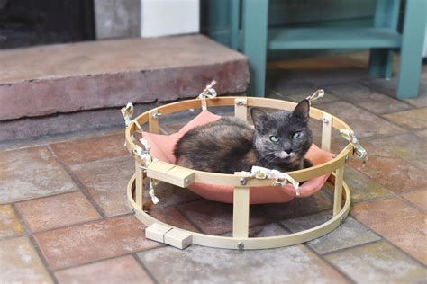 How to Make a DIY Cat Hammock for Your Furry Friend