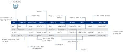 Fuzzy Matching 101: Cleaning and Linking Messy Data - Data Ladder