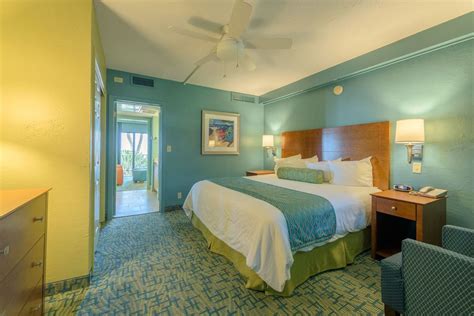 Pet Friendly Hotels Florida Gulf Coast | Pets Animals US