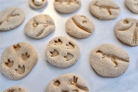 DIY Dinosaur Fossils with Salt Dough - Make Life Lovely