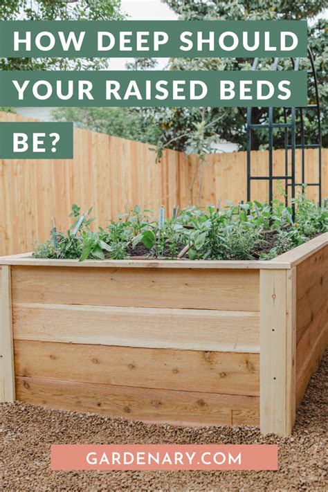 How Deep Should Your Raised Garden Beds Be? • Gardenary