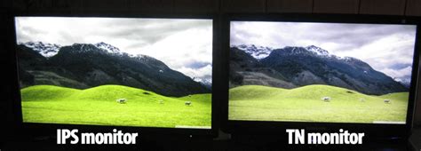 TN vs IPS vs VA: Which is the Best Monitor Display for Gaming?