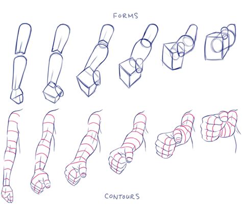 Arms Foreshortening Perspective Hands Arm Drawing Anatomy Drawing ...