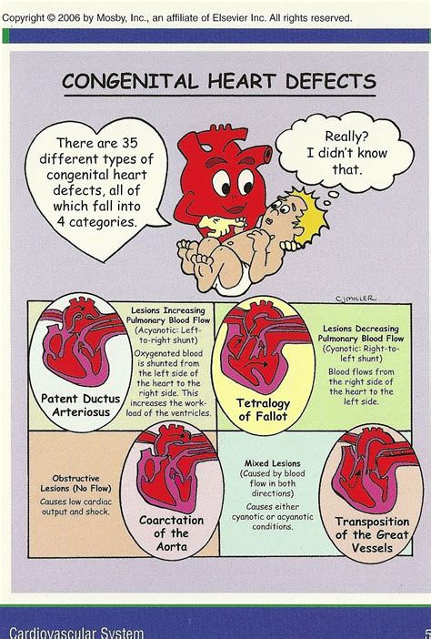 congenital heart defects | Neonatal nurse, Pediatric nursing, Nursing ...