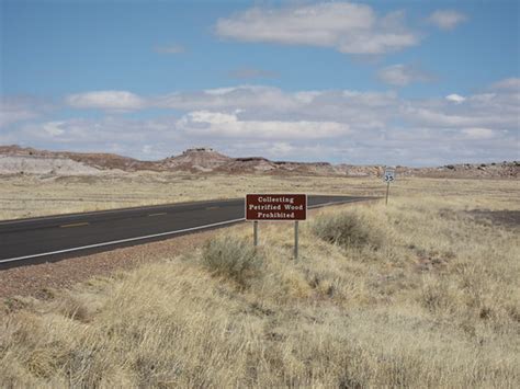 Petrified Forest & Painted Desert