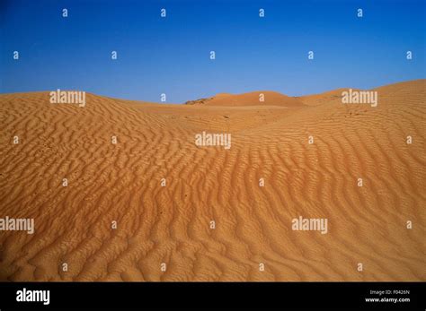 Sand desert with dunes, Arabian Desert, United Arab Emirates Stock ...