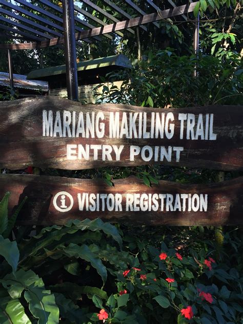 Mount Makiling (Los Banos, Laguna) - Pinoy Trails | The Trail is Our ...