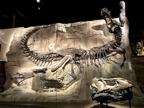 Royal Tyrrell Museum - Dinosaur Museum - Drumheller, AB ...