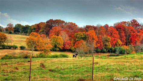 North Georgia Fall Colors!