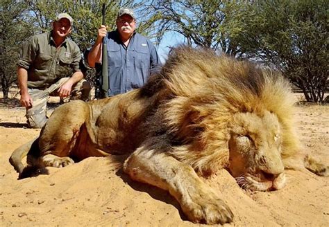 Trophy Hunting – A very British contribution - Animal Charity - Animal ...