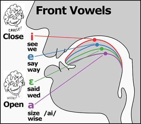 What makes a vowel a vowel - ffopwelcome